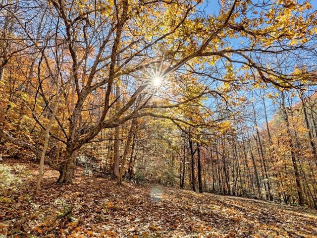 House for sale in Hayesville, North Carolina