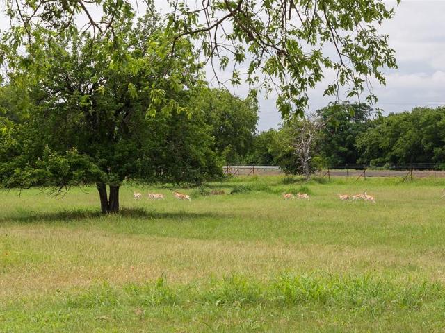 Land for sale in Bosque, Texas