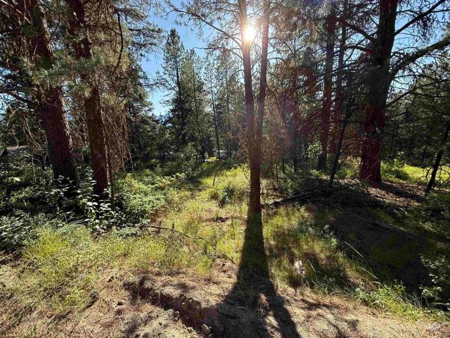 Land for sale in Cascade, Idaho