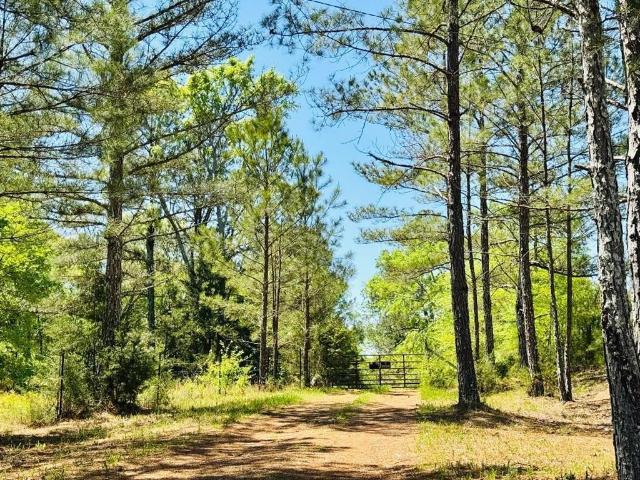 Land for sale in Mount Gallagher, Ware Shoals