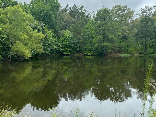 House for sale in Utica, Mississippi