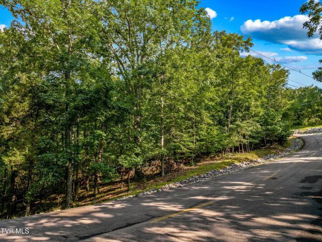 Land for sale in Tennessee