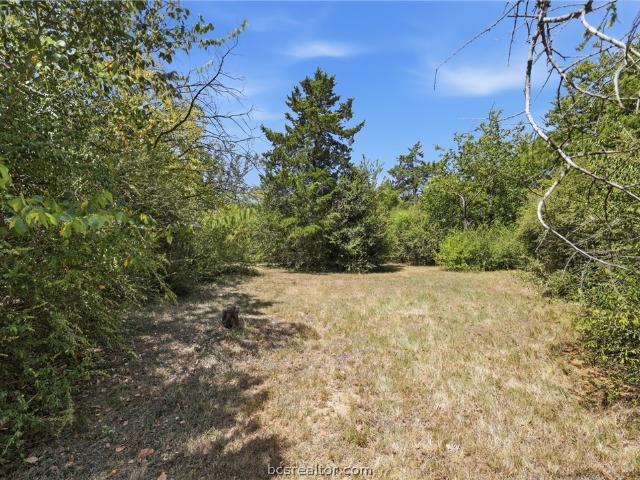 Land for sale in Bryan, Texas
