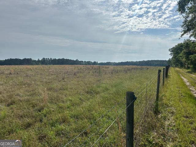 Land for sale in Screven, Georgia
