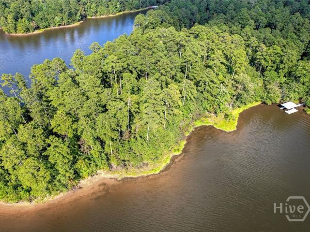 Land for sale in Tignall, Georgia