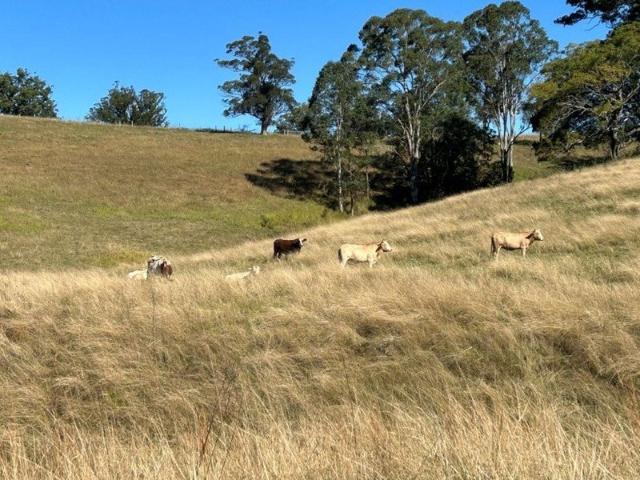 Land for sale in New South Wales