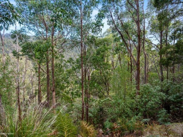 Land for sale in Judbury, Tasmania