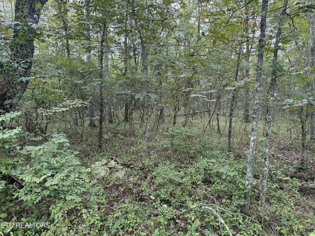 Land for sale in Tennessee
