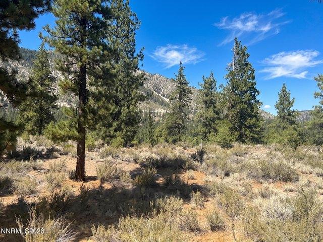 Land for sale in Carson City, Nevada