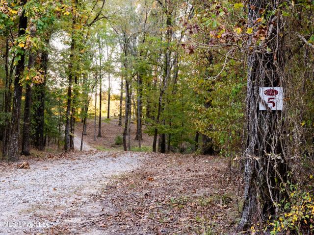 Land for sale in Raymond, Hinds County