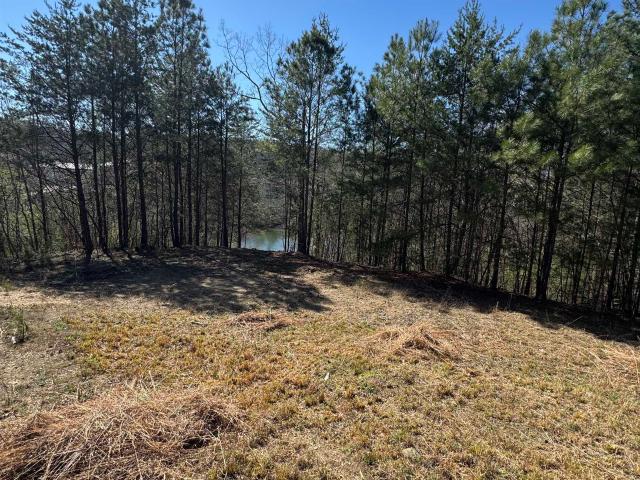 Land for sale in Cullman, Alabama