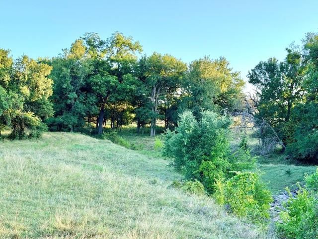 Land for sale in Mills, Texas