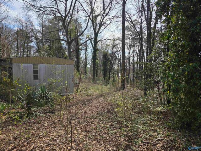 Land for sale in Centre, Alabama