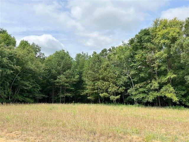 Land for sale in Bartow, Georgia