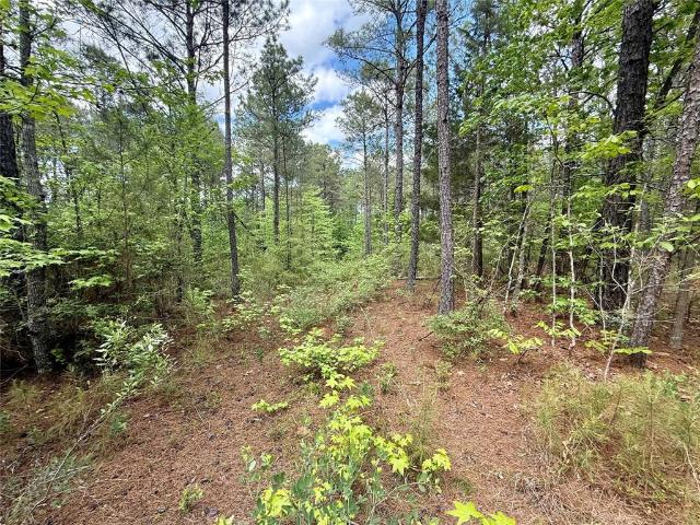 Land for sale in Simsboro, Lincoln Parish
