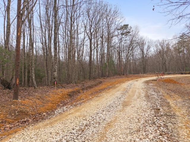 Land for sale in Zoe, Kentucky