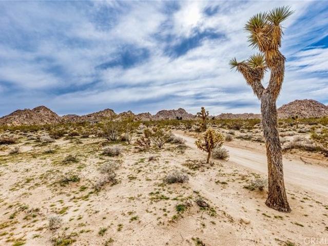 Land for sale in Joshua Tree, California