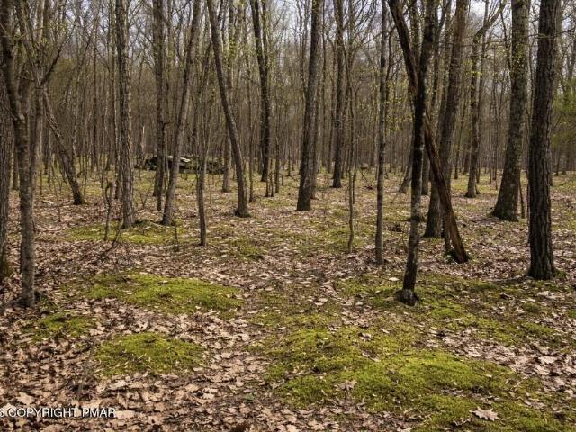 Land for sale in Beach Lake, Pennsylvania