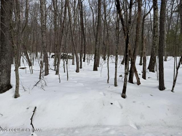 Land for sale in Beach Lake, Pennsylvania