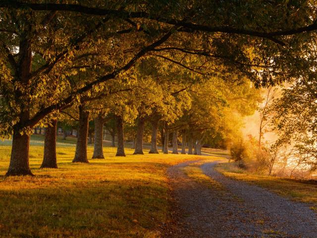 Land for sale in Chickamauga, Georgia