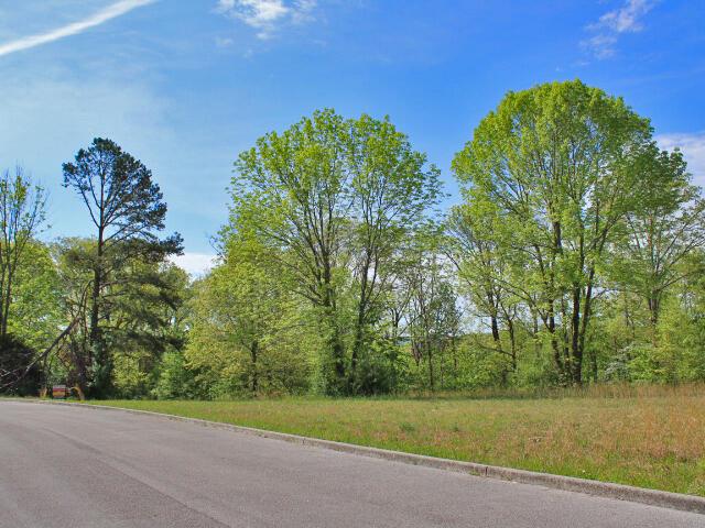 Land for sale in Somerset, Kentucky
