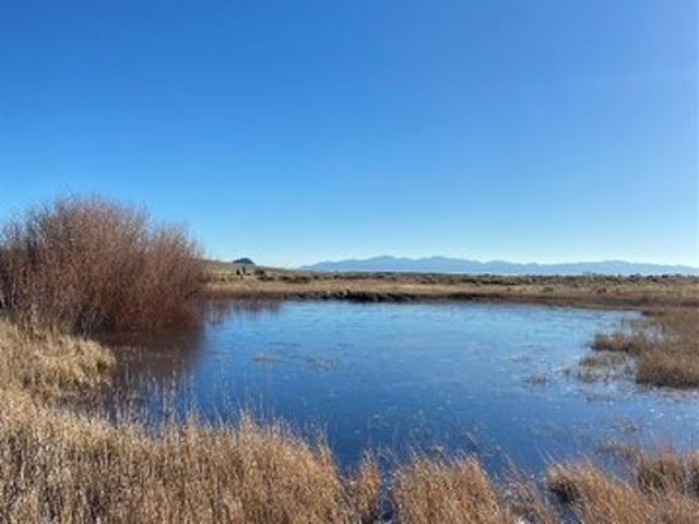 Land for sale in Dillon, Montana