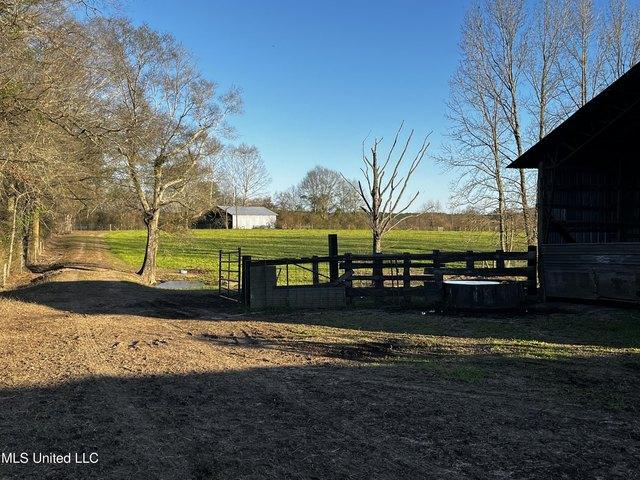 Land for sale in Ovett, Mississippi