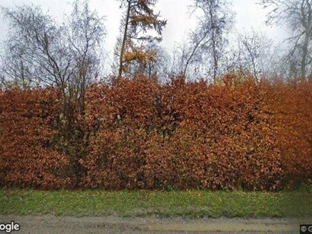 Erhvervsejendom til leje i Lille Skensved, Køge