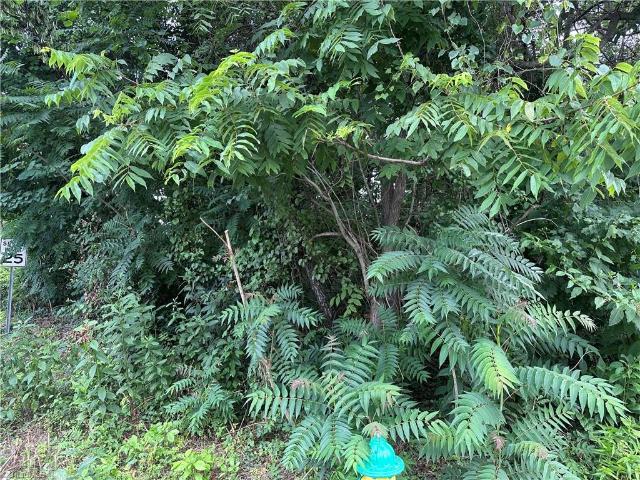 Land for sale in Mount Airy, North Carolina