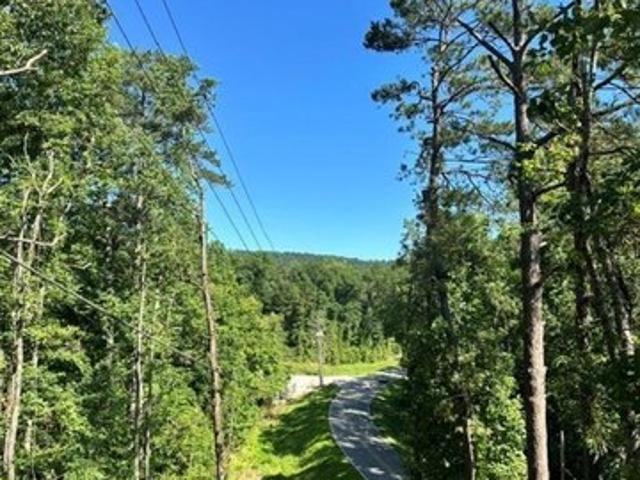 House for sale in Chelsea, Alabama