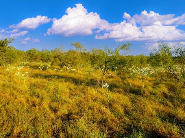 Land for sale in Graford, Texas