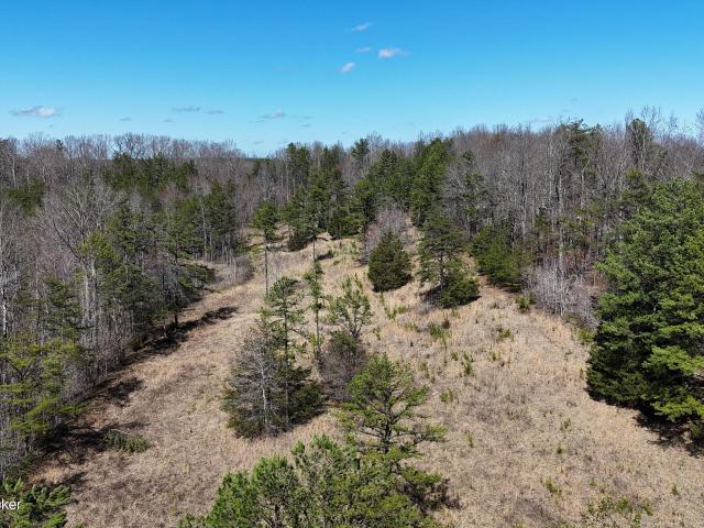Land for sale in Williamsburg, Kentucky
