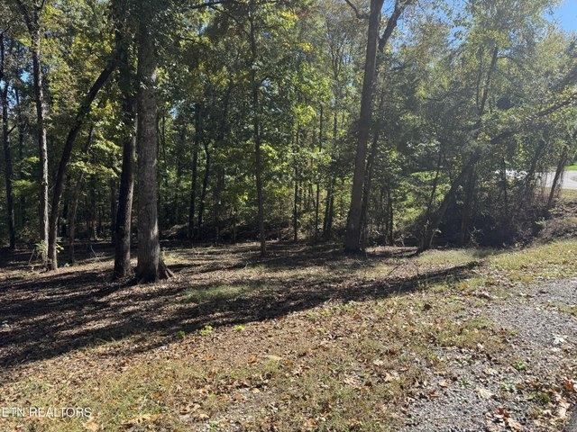 Land for sale in Loudon, East Tennessee