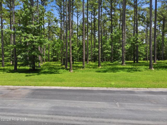 Land for sale in Oriental, North Carolina