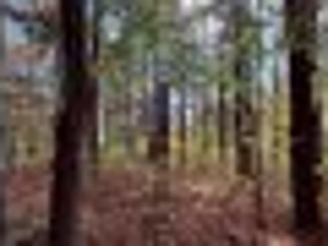 Condo for sale in East Flat Rock, North Carolina