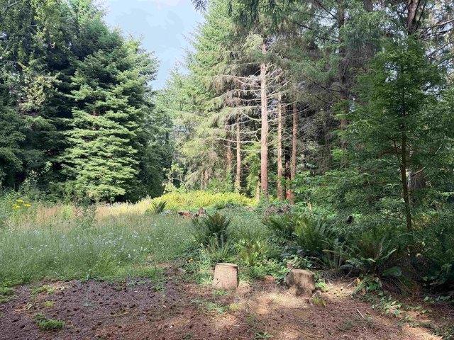 Land for sale in Crescent City, California