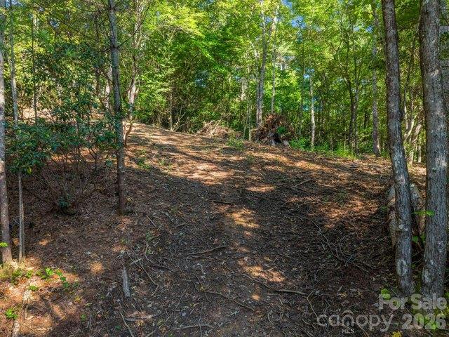 Land for sale in Pisgah Forest, Brevard