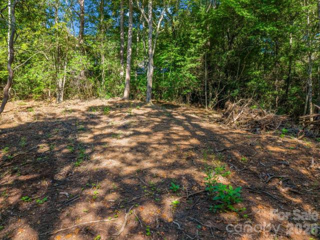 Land for sale in Oak Woods, Transylvania County