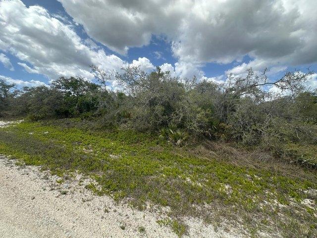 Land for sale in Lake Placid, Florida