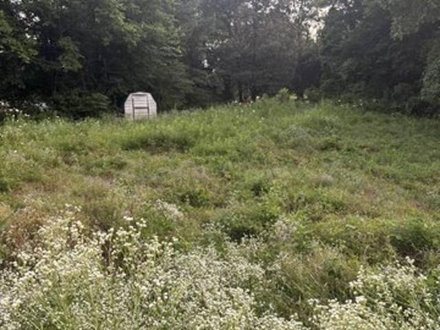 Land for sale in Calhoun, Kentucky