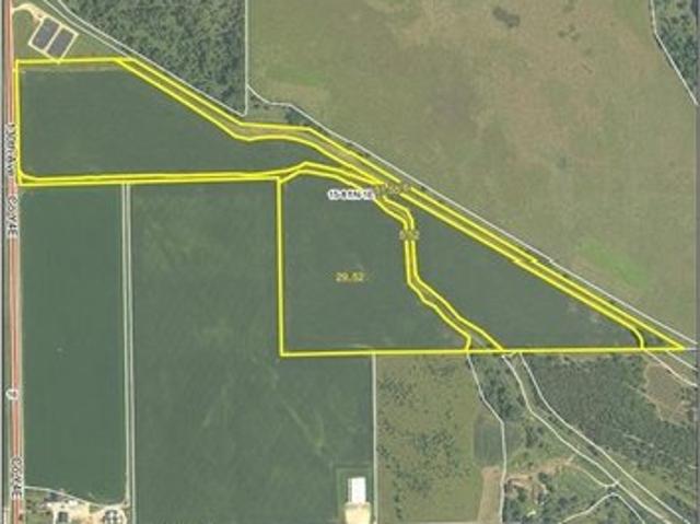 Farm for sale in Wheatland, Iowa