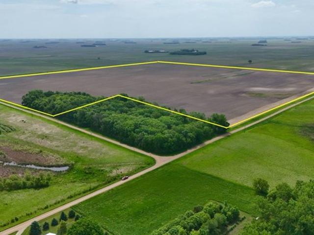 Land for sale in Echo, Minnesota