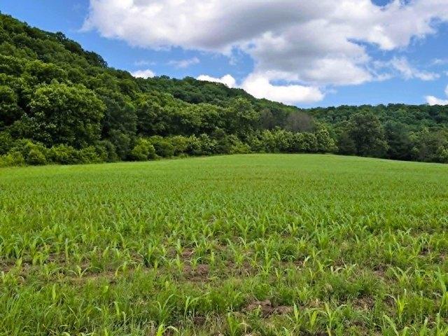 Land for sale in Soldiers Grove, Wisconsin