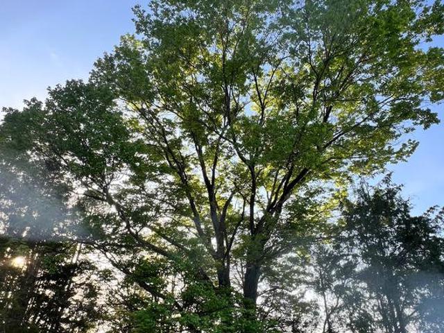 Land for sale in Virginia