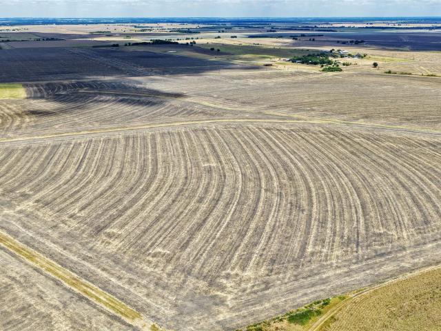 Farm for sale in Granger, Williamson County