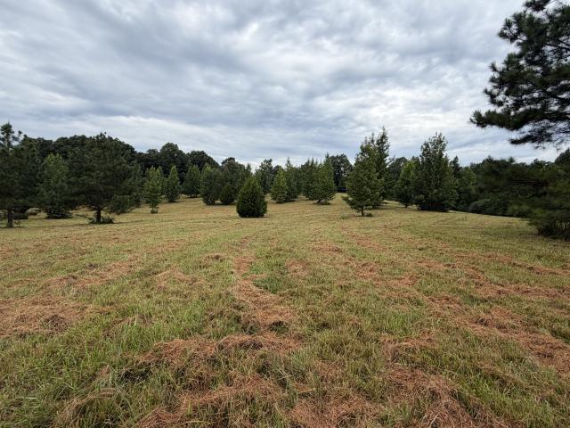 Land for sale in Tennessee