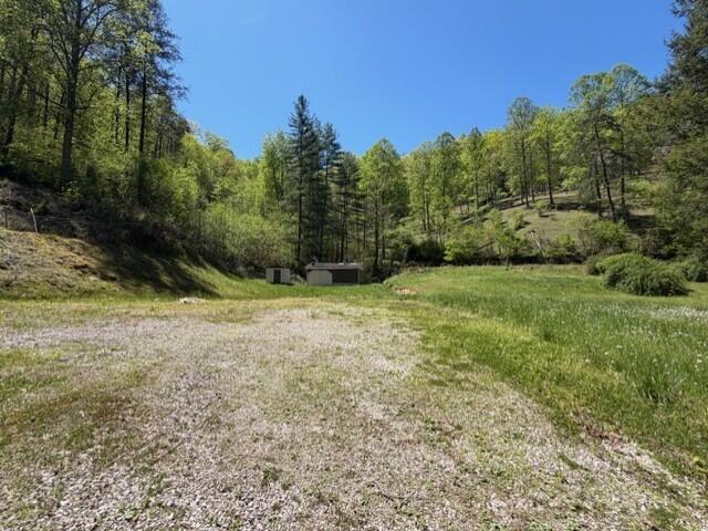 Land for sale in Inez, Kentucky