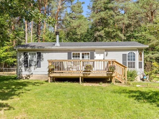 House for sale in Gowen, Michigan