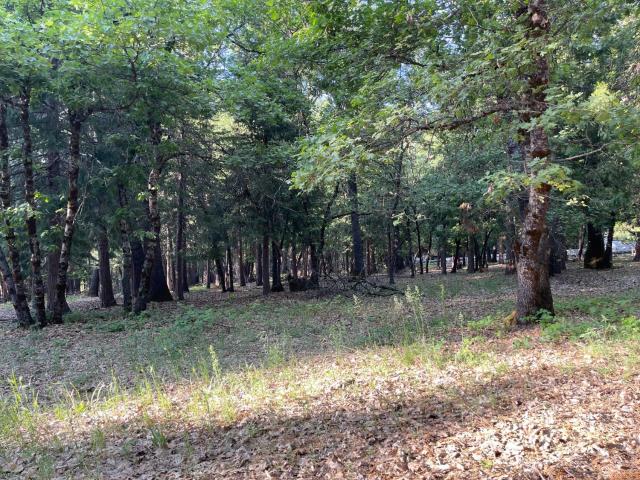 Land for sale in Nevada City, California