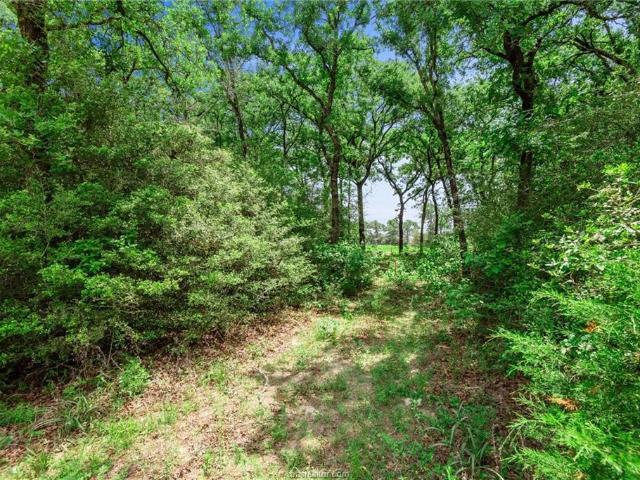 Land for sale in Robertson, Texas